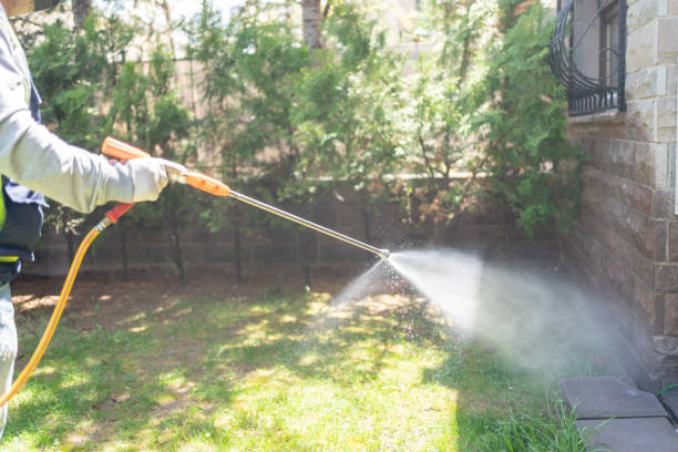 Professional Pest control in San Ysidro, NM